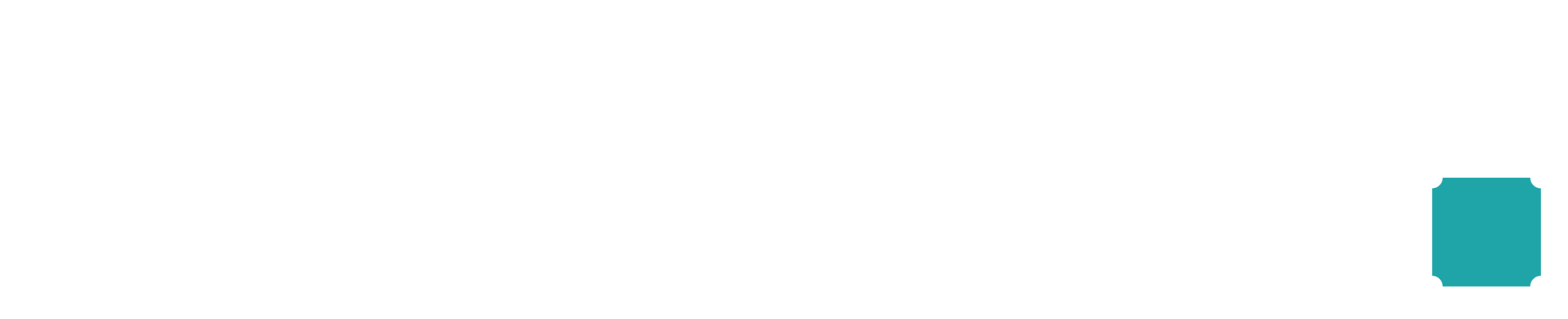 VPERO White Logo